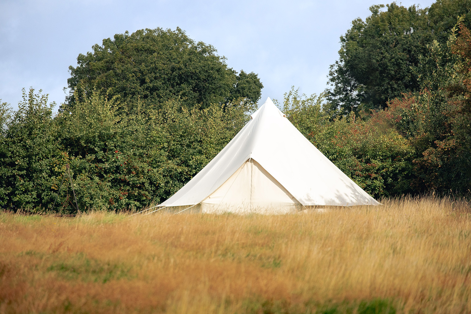 Bell Tent in Field